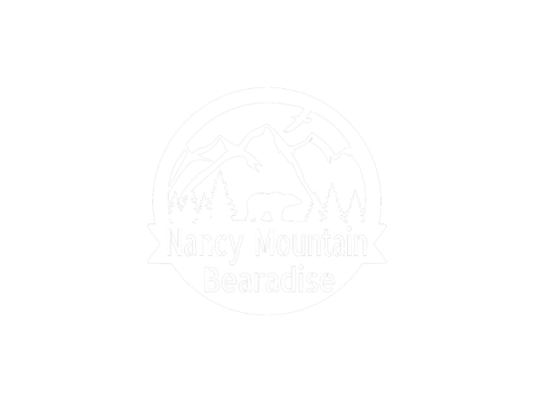 Luxury Mountain Cabin Rental on Nancy Mountain, Rosman NC